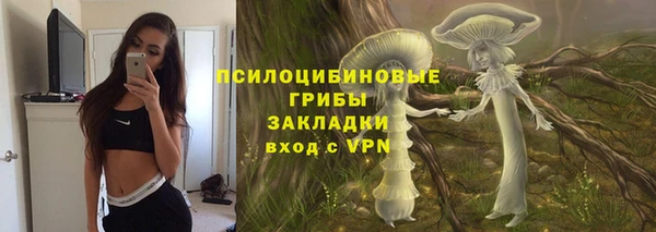 ГАЛЛЮЦИНОГЕННЫЕ ГРИБЫ Арсеньев